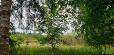 196 Jensen Road , Onalaska, WA 98570 - Photo 18