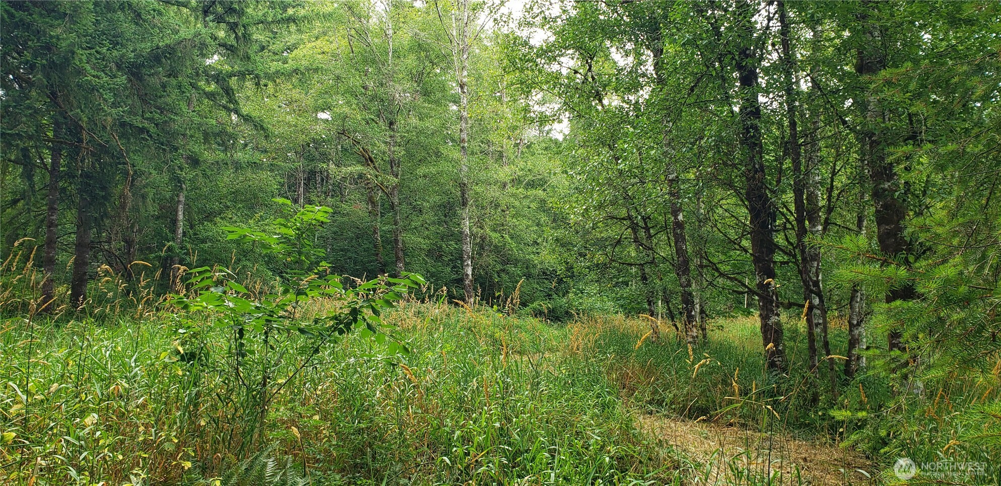 196 Jensen Road , Onalaska, WA 98570