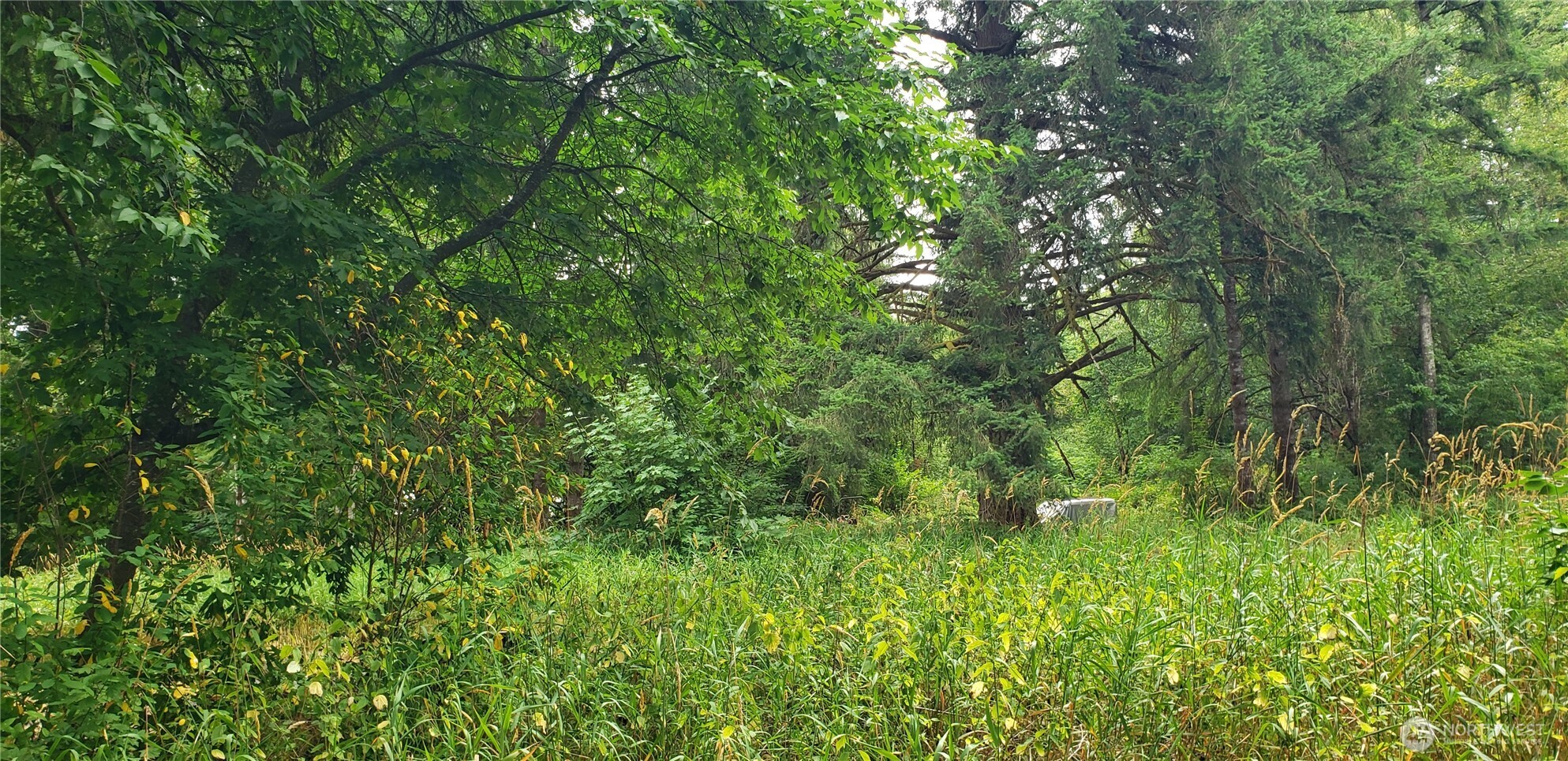 196 Jensen Road , Onalaska, WA 98570