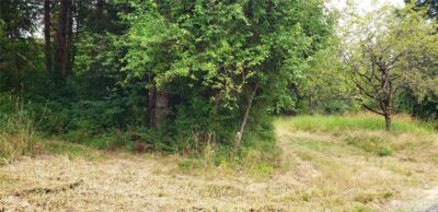 196 Jensen Road , Onalaska, WA 98570 - Photo 3