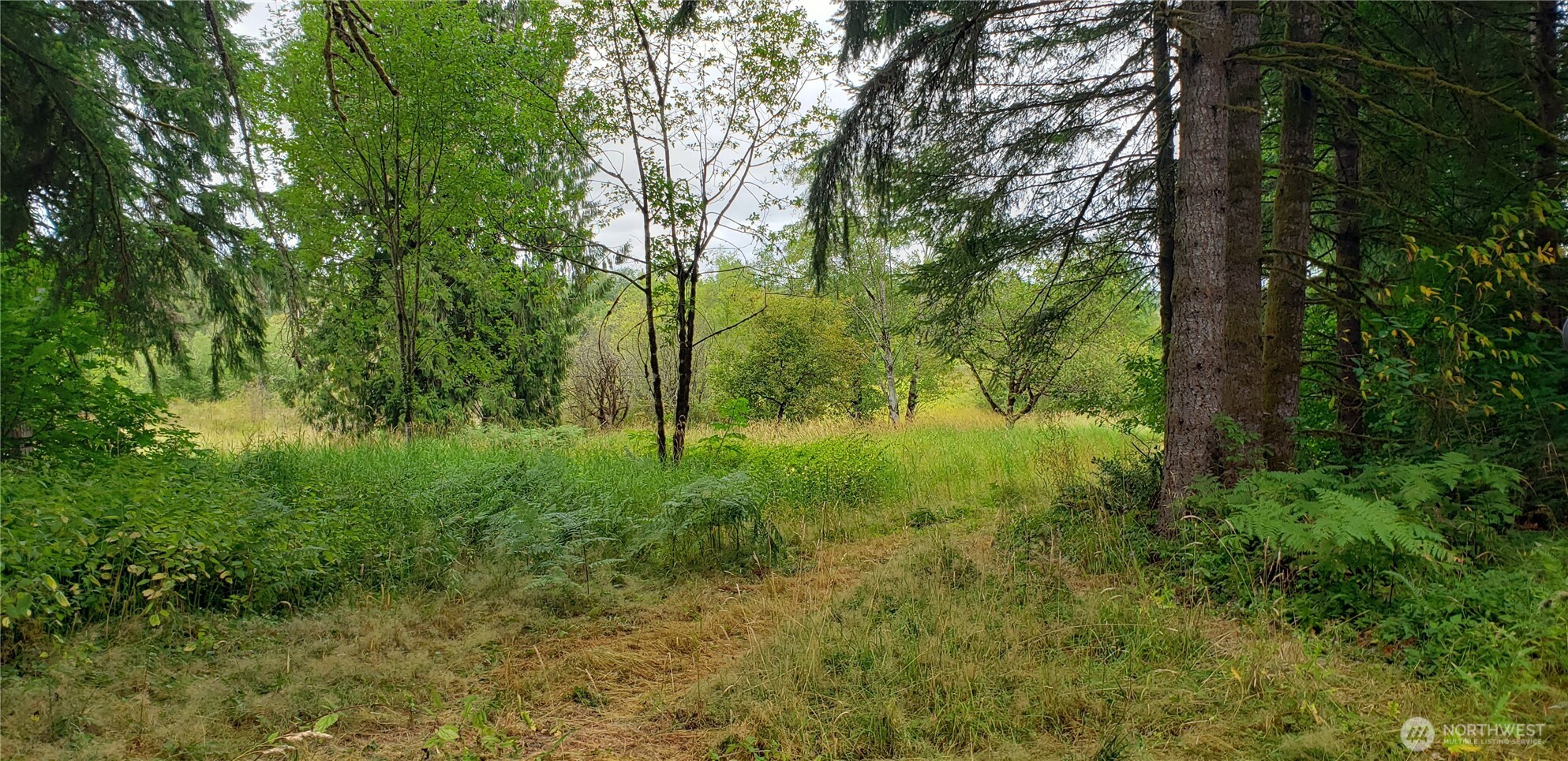 196 Jensen Road , Onalaska, WA 98570