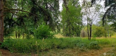 196 Jensen Road , Onalaska, WA 98570 - Photo 22