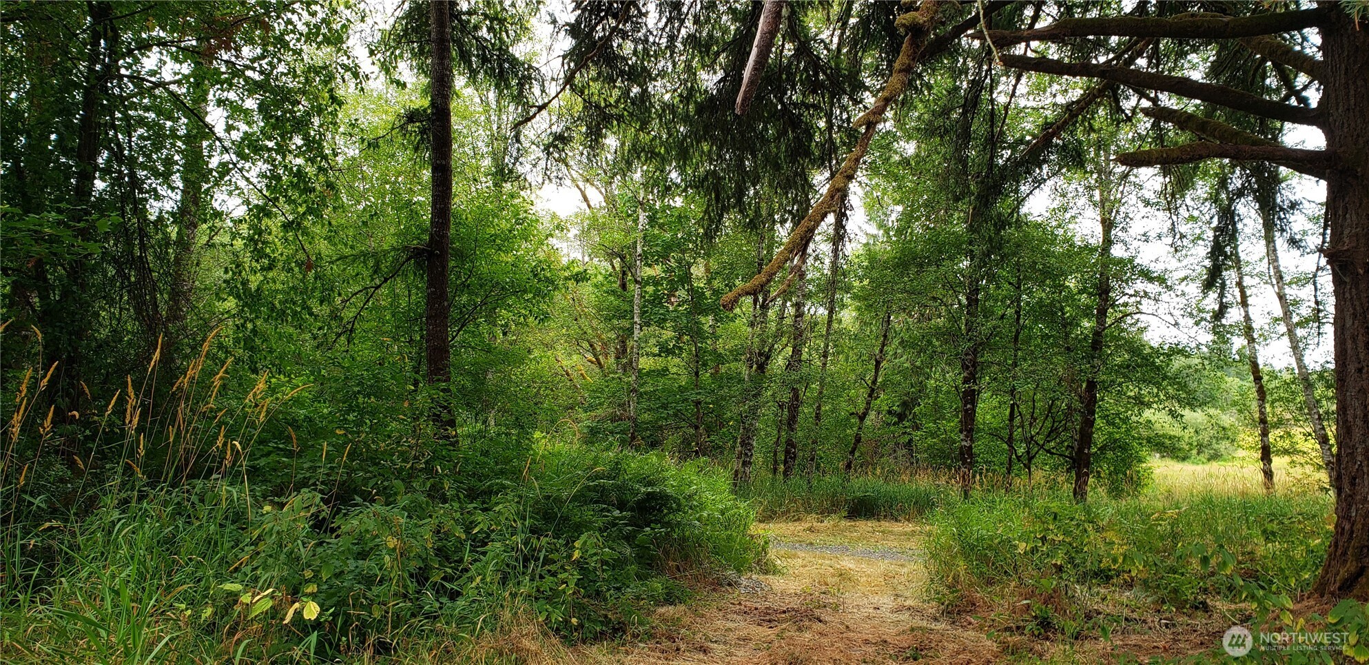 196 Jensen Road , Onalaska, WA 98570