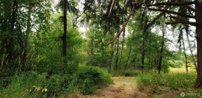 196 Jensen Road , Onalaska, WA 98570 - Photo 23