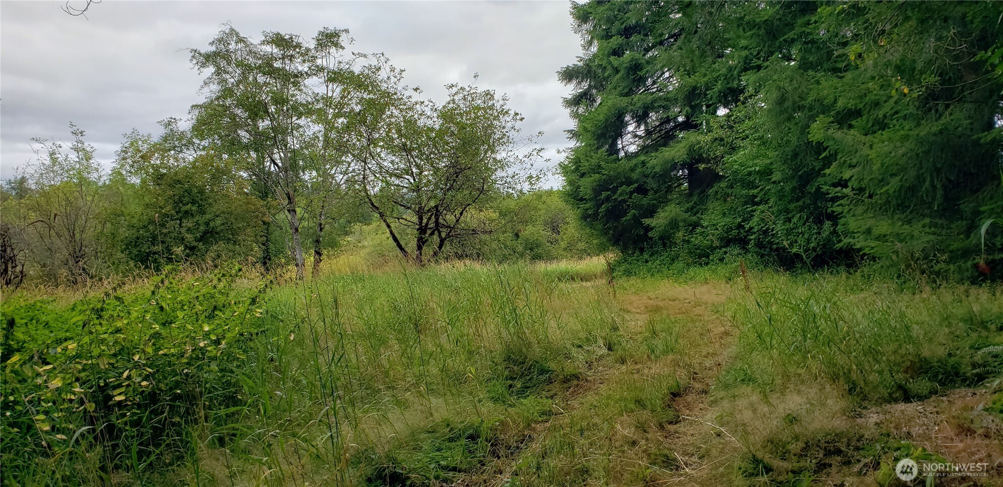 196 Jensen Road , Onalaska, WA 98570