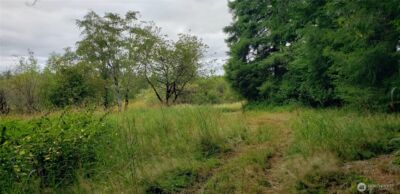 196 Jensen Road , Onalaska, WA 98570 - Photo 25