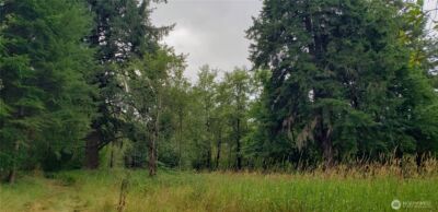 196 Jensen Road , Onalaska, WA 98570 - Photo 26