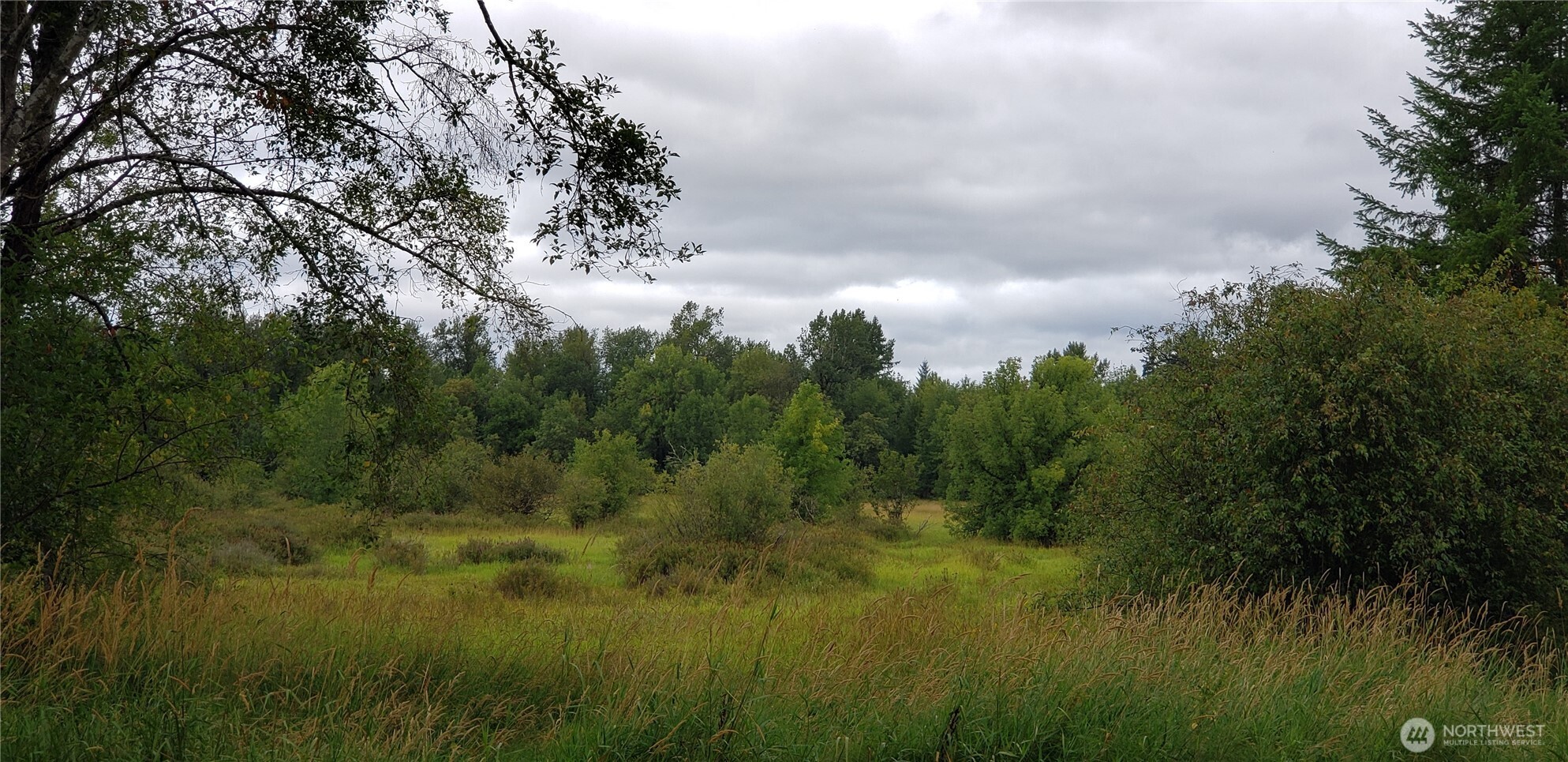 196 Jensen Road , Onalaska, WA 98570