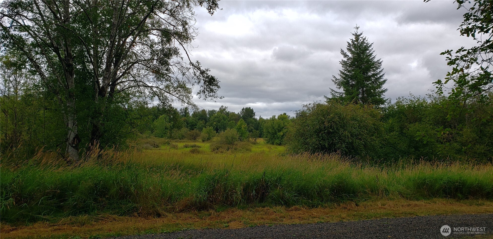 196 Jensen Road , Onalaska, WA 98570