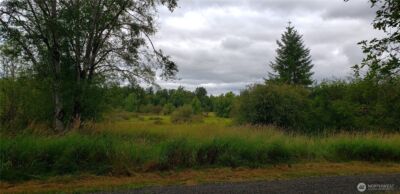 196 Jensen Road , Onalaska, WA 98570 - Photo 28