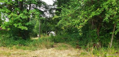 196 Jensen Road , Onalaska, WA 98570 - Photo 29