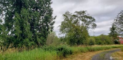 196 Jensen Road , Onalaska, WA 98570 - Photo 4