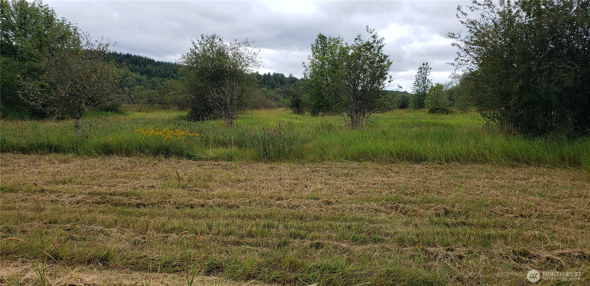 196 Jensen Road , Onalaska, WA 98570