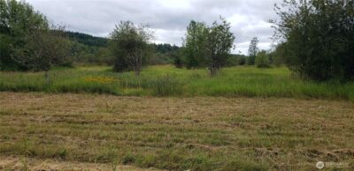 196 Jensen Road , Onalaska, WA 98570 - Photo 31