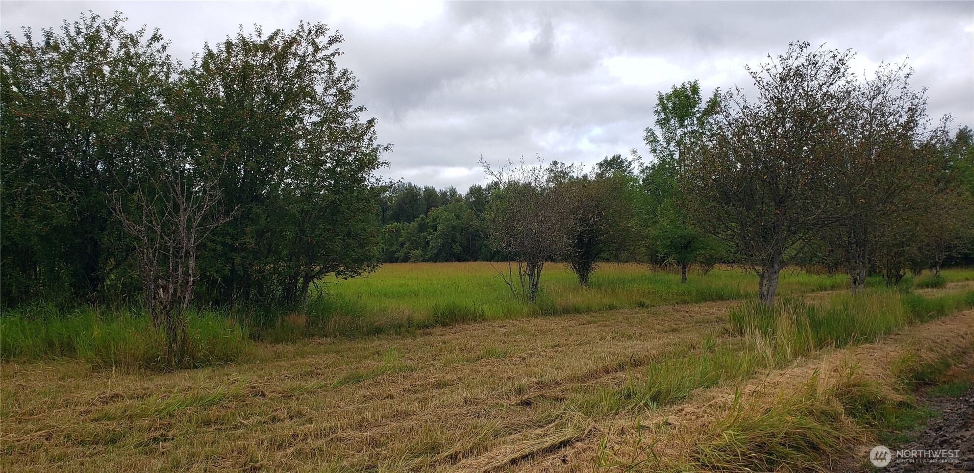 196 Jensen Road , Onalaska, WA 98570