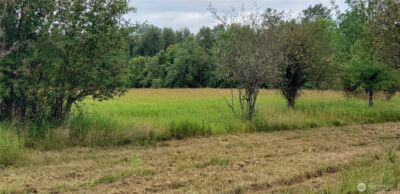 196 Jensen Road , Onalaska, WA 98570 - Photo 33