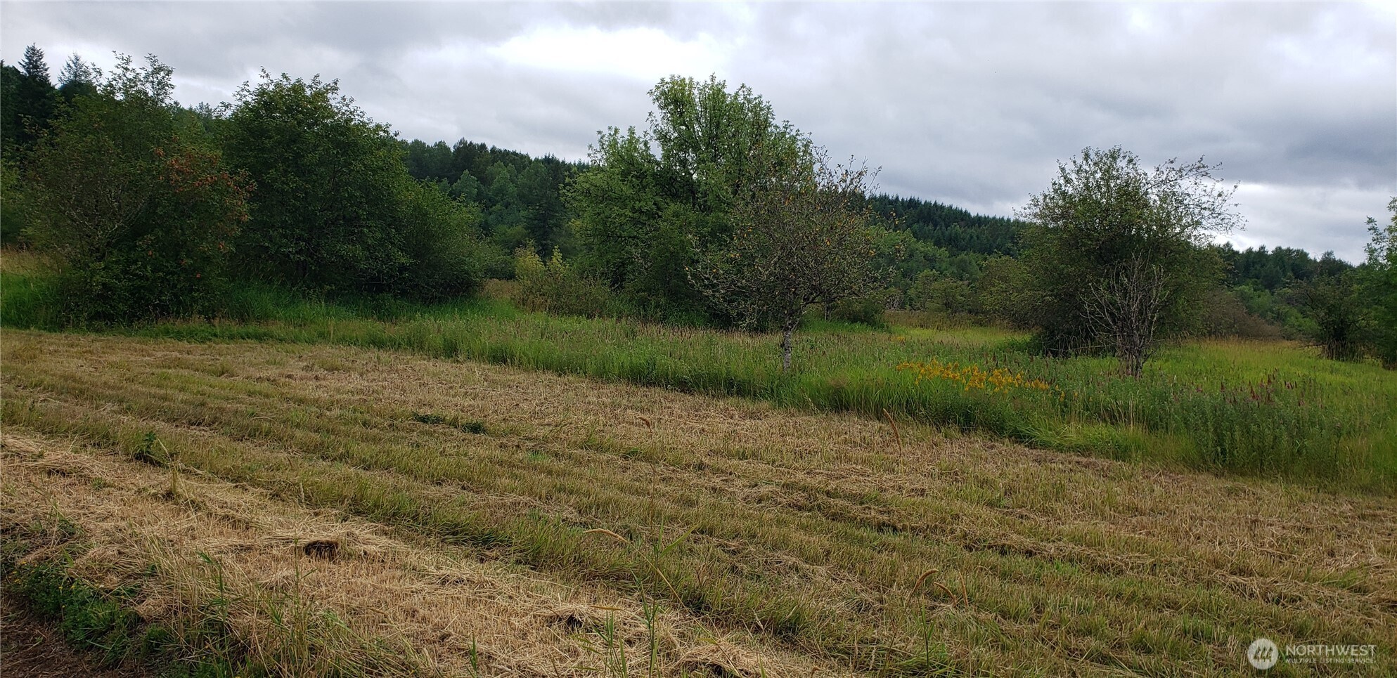 196 Jensen Road , Onalaska, WA 98570