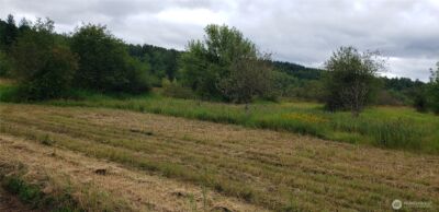 196 Jensen Road , Onalaska, WA 98570 - Photo 34