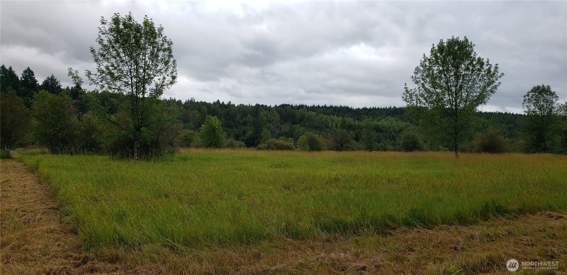 196 Jensen Road , Onalaska, WA 98570