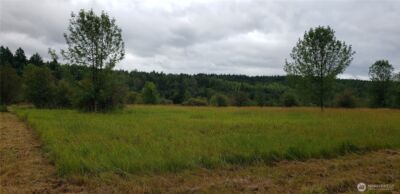 196 Jensen Road , Onalaska, WA 98570 - Photo 35