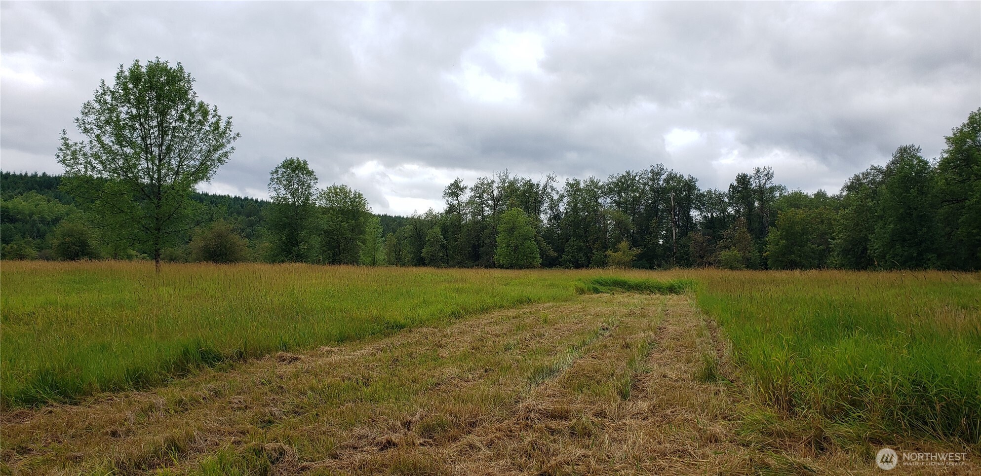 196 Jensen Road , Onalaska, WA 98570