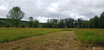 196 Jensen Road , Onalaska, WA 98570 - Photo 36