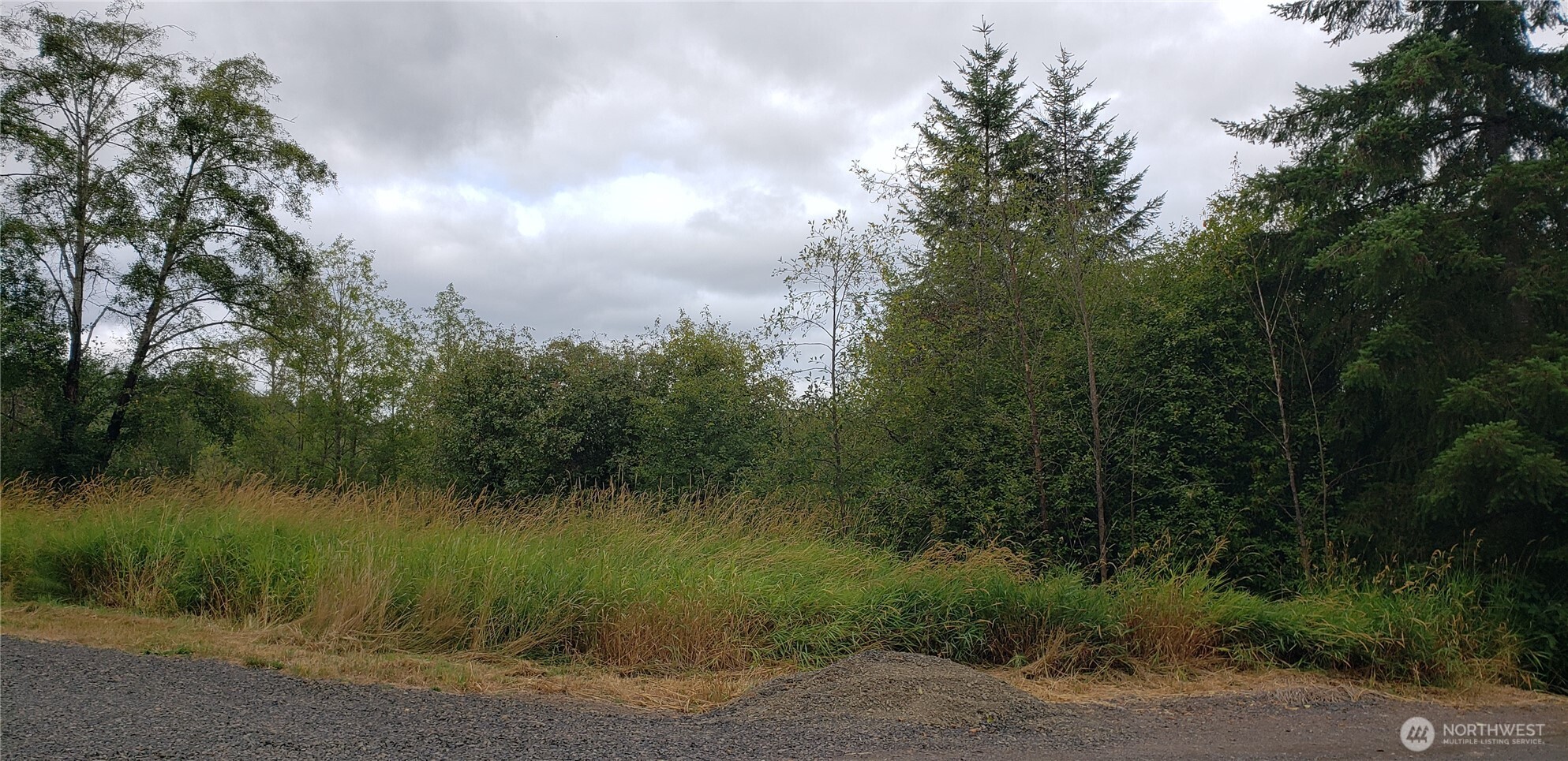 196 Jensen Road , Onalaska, WA 98570