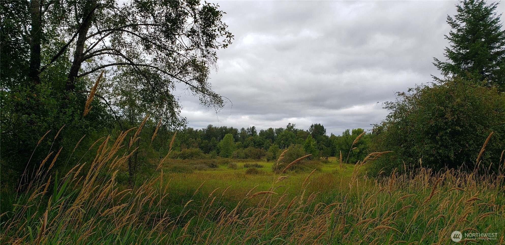 196 Jensen Road , Onalaska, WA 98570