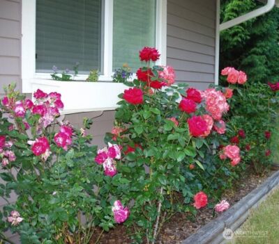 23601 71st Drive SE, Woodinville, WA 98072 - Photo 3