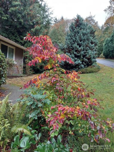 23601 71st Drive SE, Woodinville, WA 98072 - Photo 35