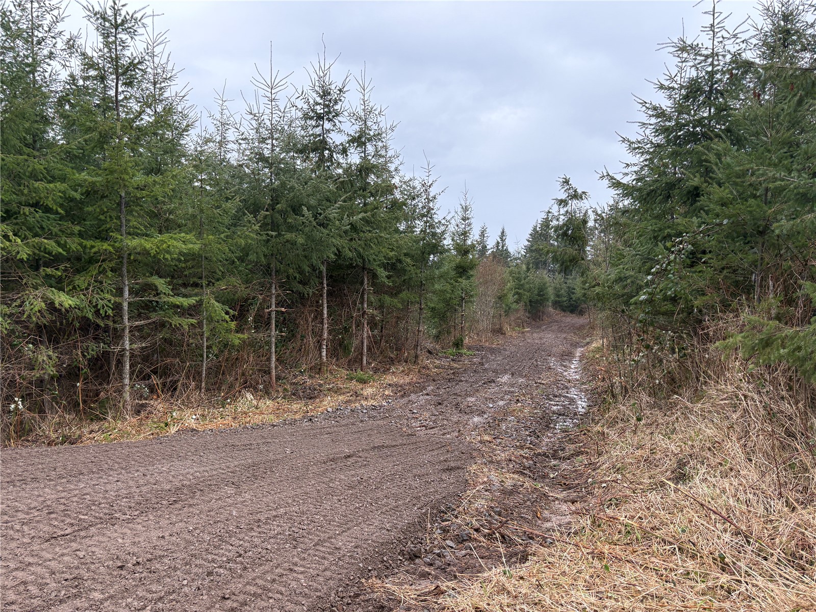 1 NKA China Garden Road , Kalama, WA 98625