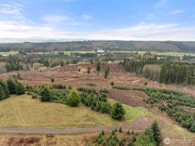 177 Starlight Drive , Onalaska, WA 98533 - Photo 18