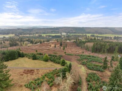 177 Starlight Drive , Onalaska, WA 98533 - Photo 19