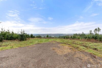 177 Starlight Drive , Onalaska, WA 98533 - Photo 6