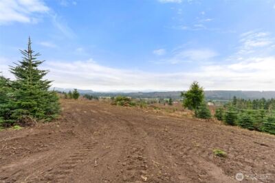 177 Starlight Drive , Onalaska, WA 98533 - Photo 7