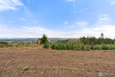 177 Starlight Drive , Onalaska, WA 98533 - Photo 8