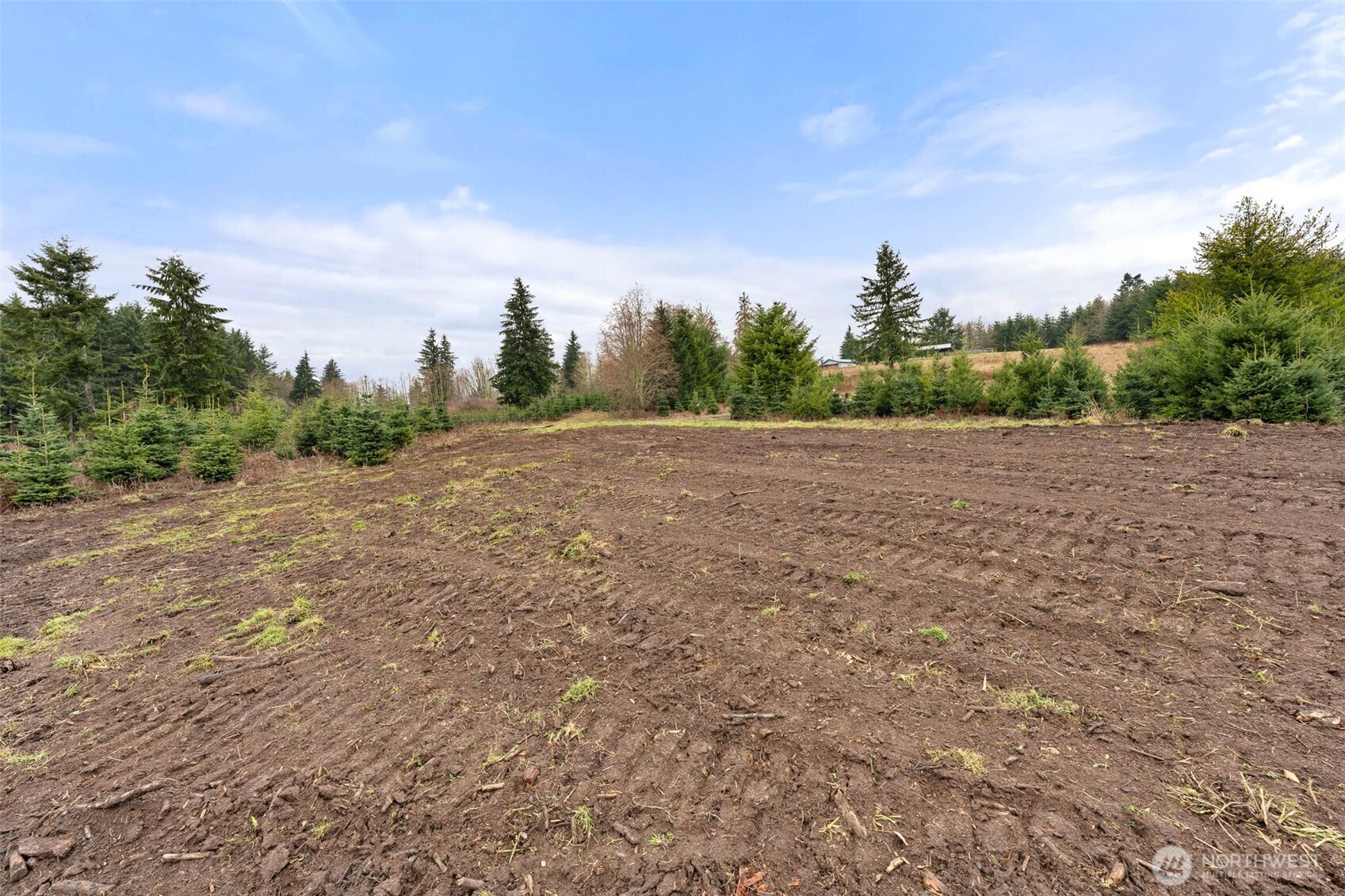 177 Starlight Drive , Onalaska, WA 98533