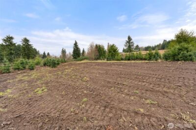 177 Starlight Drive , Onalaska, WA 98533 - Photo 9