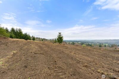 177 Starlight Drive , Onalaska, WA 98533 - Photo 10