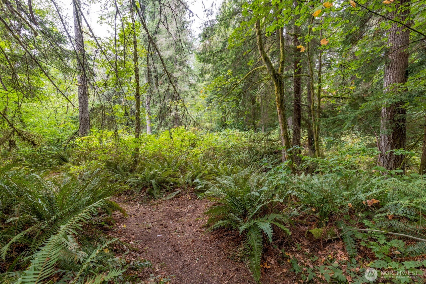 26510 SE 172nd Street , Issaquah, WA 98027