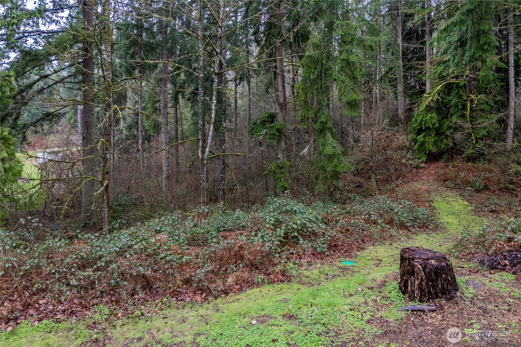 26510 SE 172nd Street , Issaquah, WA 98027