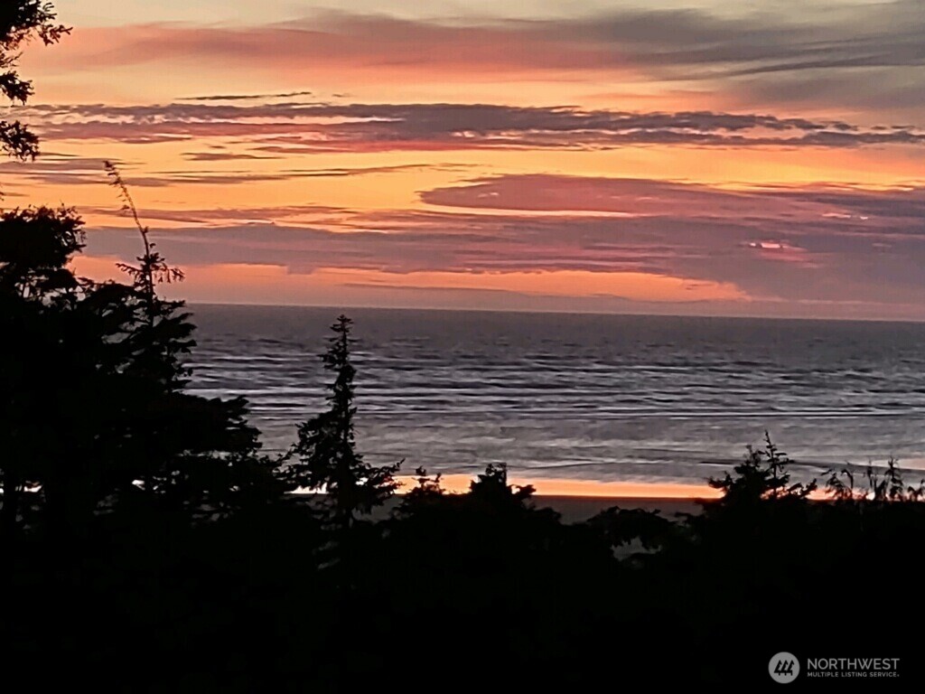 16 Koala Lane , Pacific Beach, WA 98571
