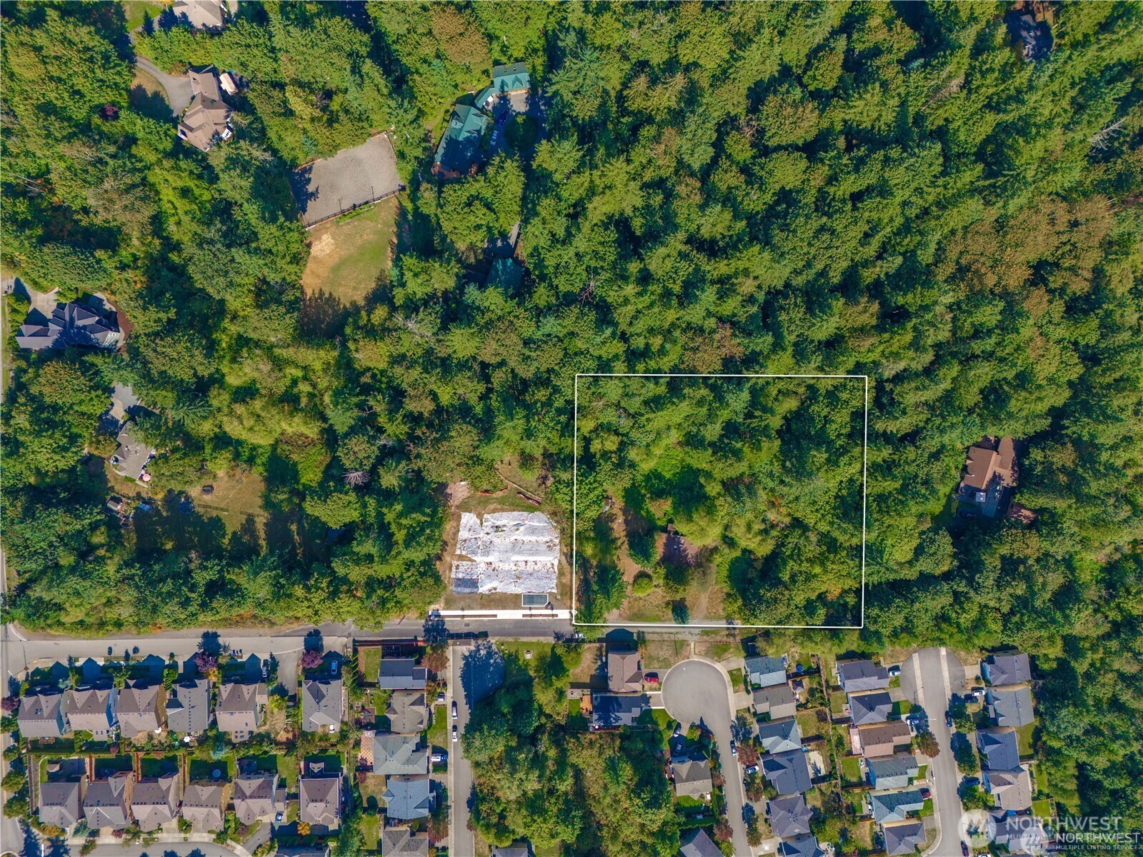 25010 SE 17th Street , Sammamish, WA 98075