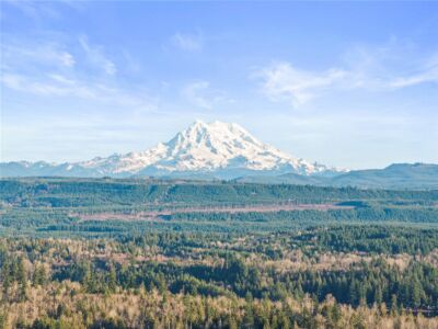 12811 Kapowsin Highlands Drive E, Graham, WA 98338 - Photo 2