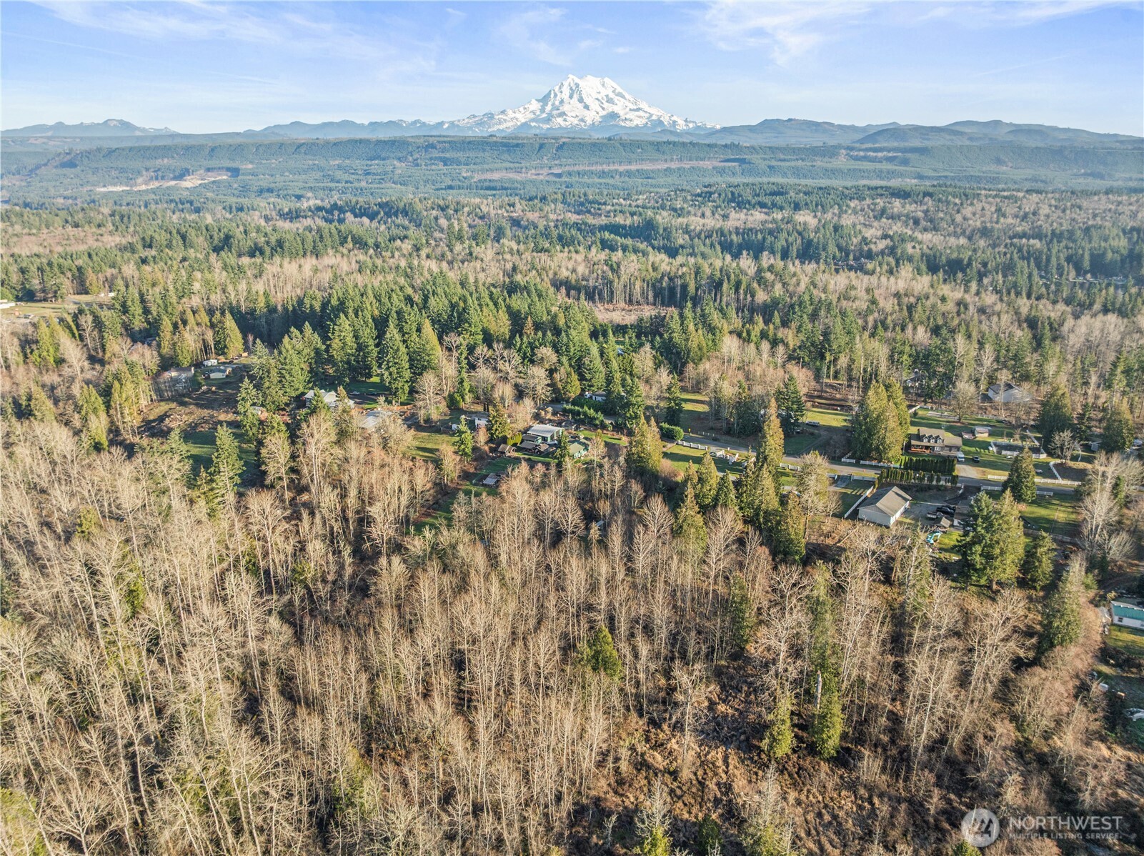 12811 Kapowsin Highlands Drive E, Graham, WA 98338