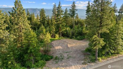 41 Trailblazer (Lot 48) Court , Cle Elum, WA 98922 - Photo 3