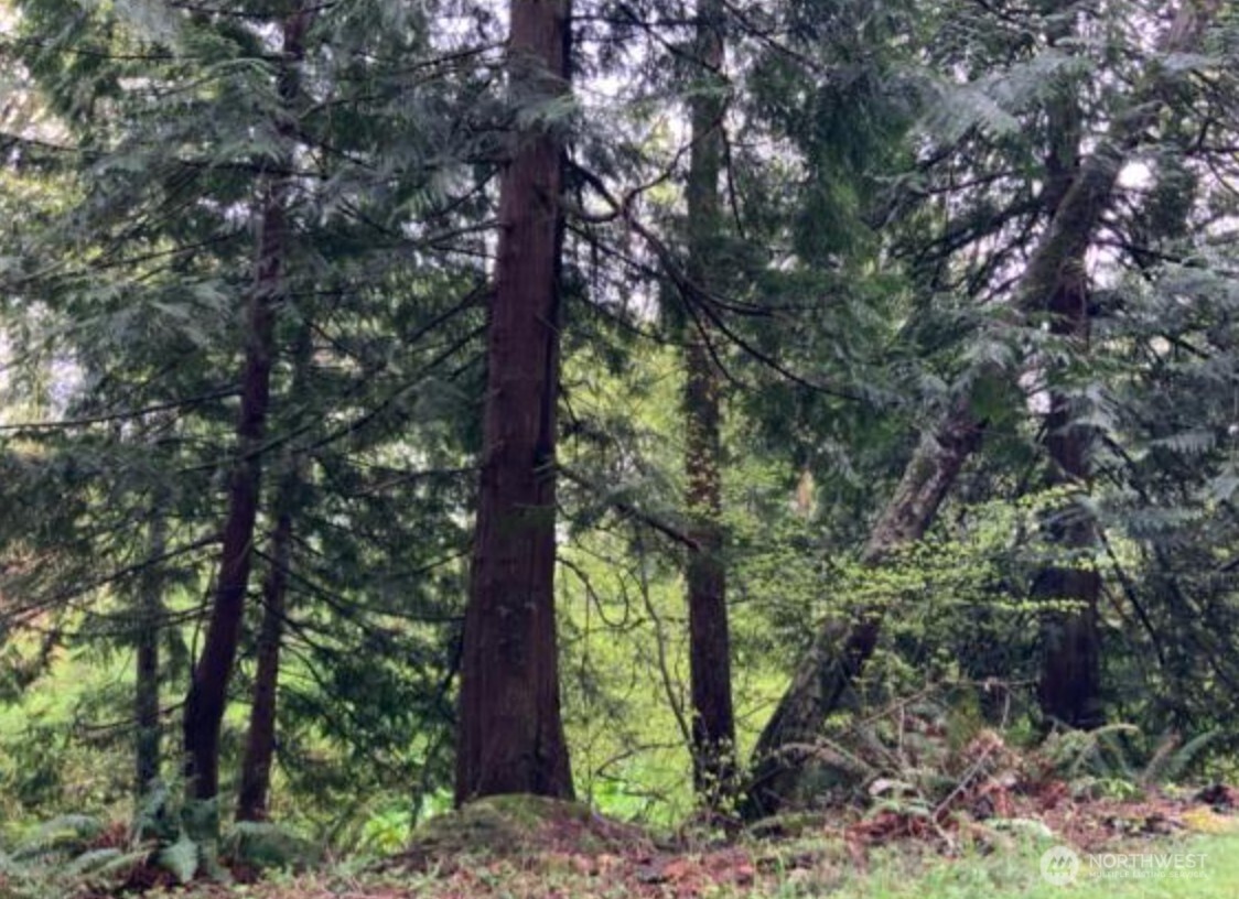 0 D Street , Bellingham, WA 98225