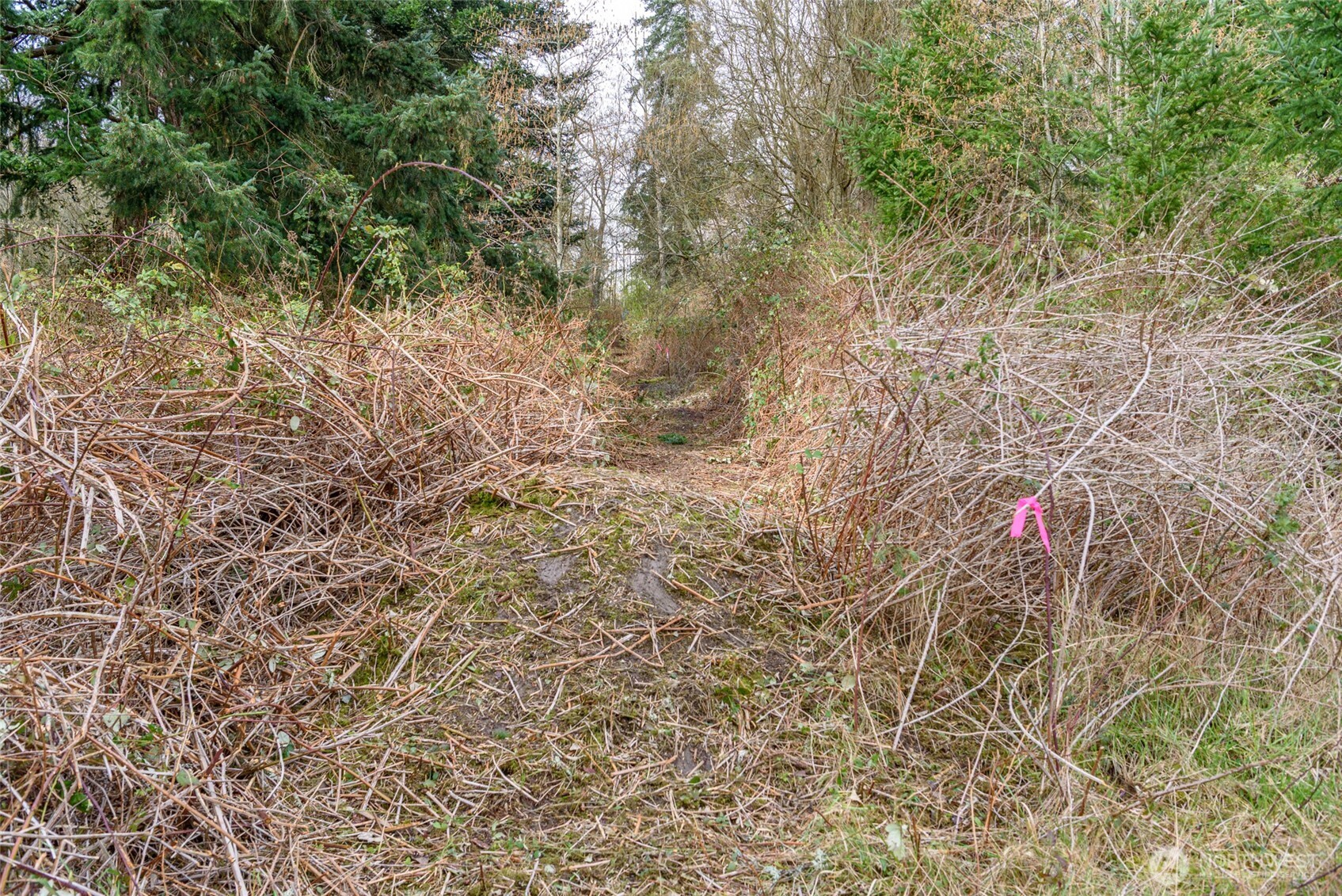 0 NHN Polnell Road , Oak Harbor, WA 98277