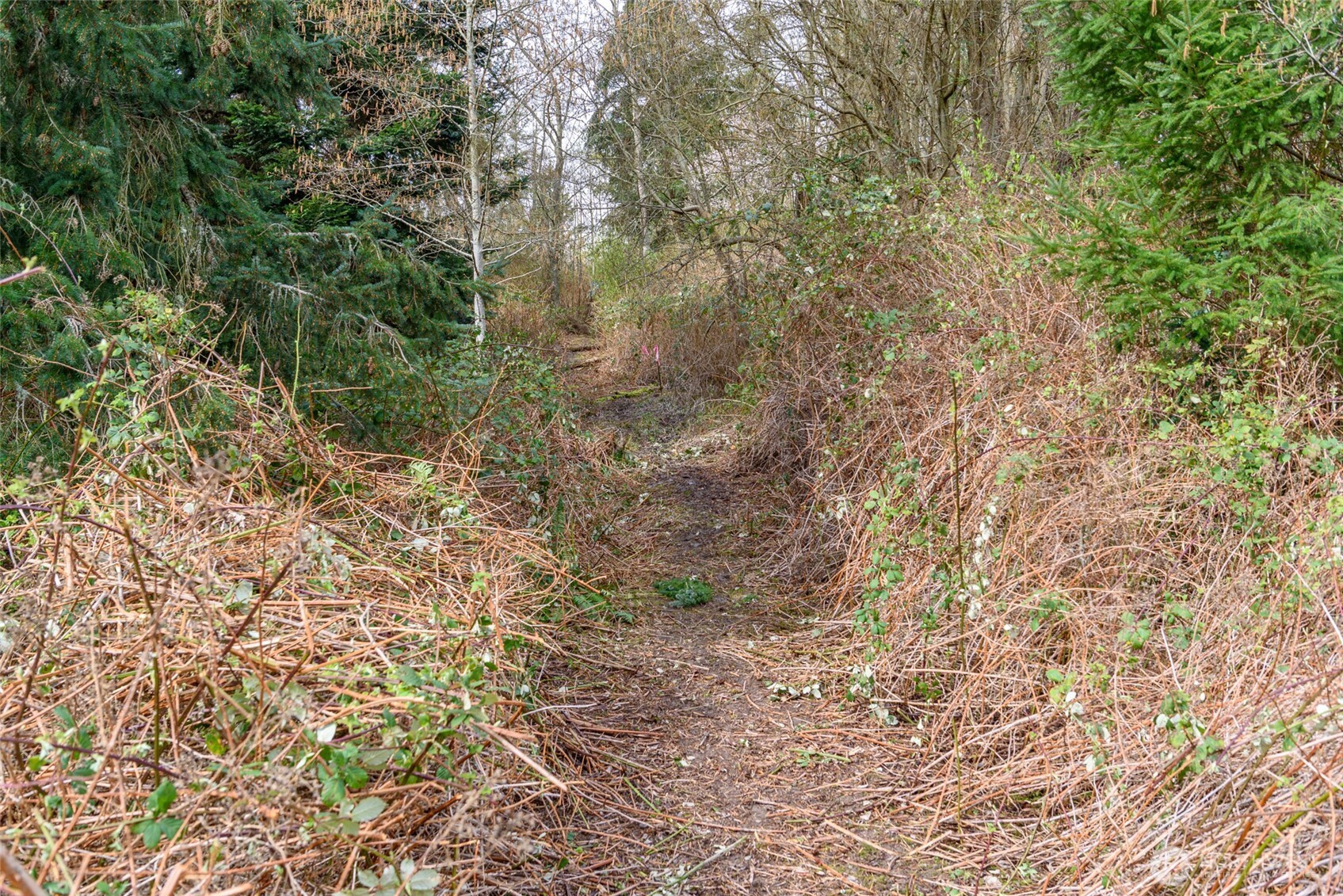 0 NHN Polnell Road , Oak Harbor, WA 98277