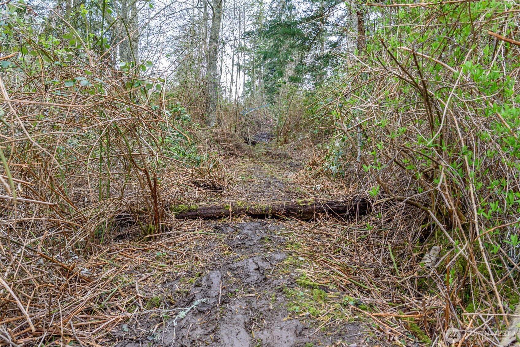 0 NHN Polnell Road , Oak Harbor, WA 98277